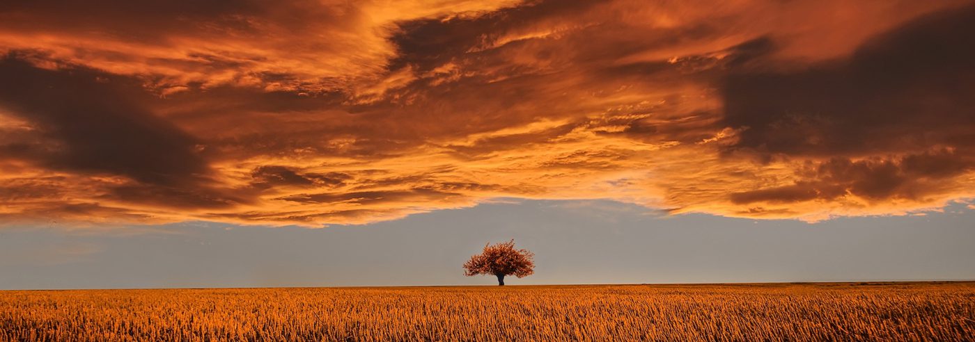 Ostéopathie & Hypnose